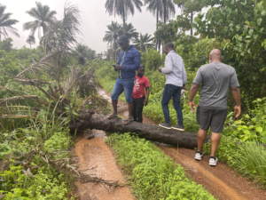 Tree blocking the muddy road to Outreach Clinic